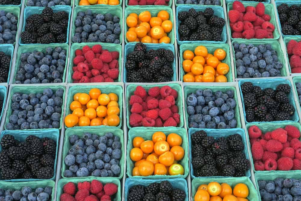 Venice Farmers' Market