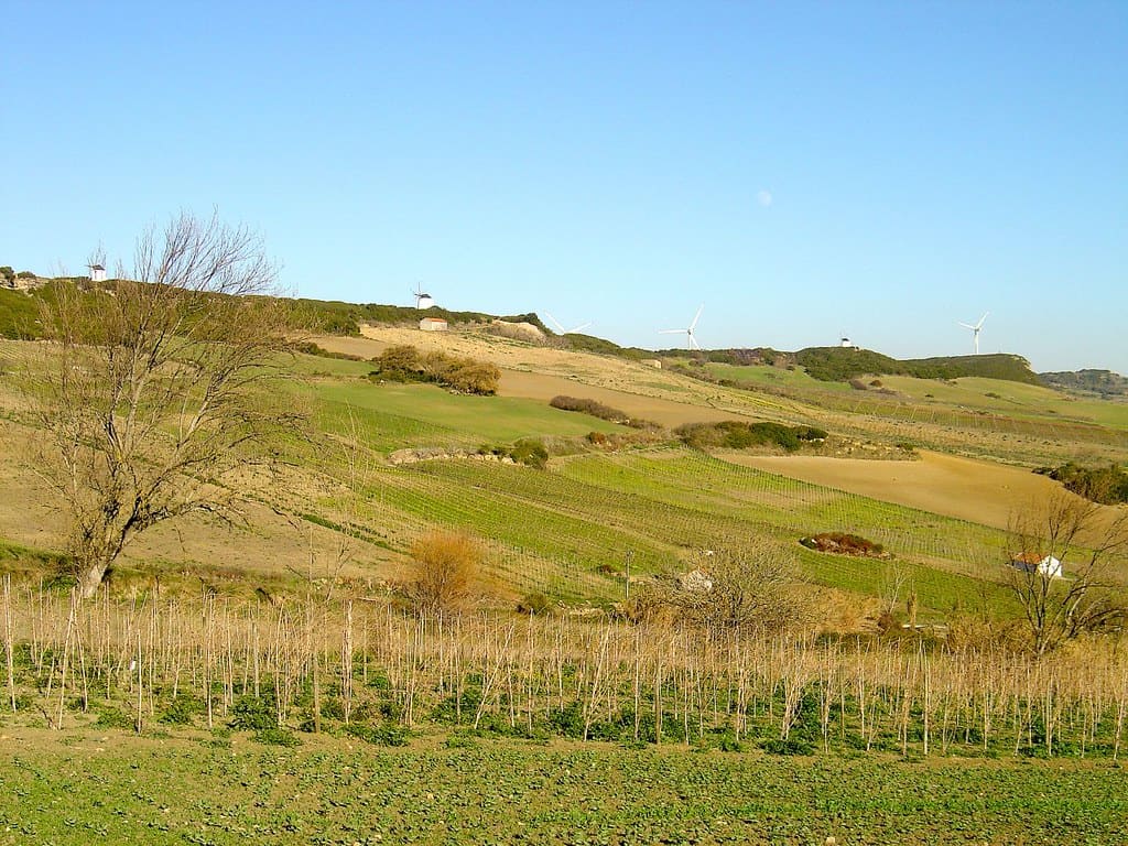 Arruda dos Vinhos