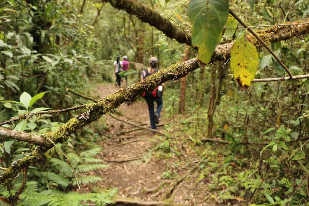 Parque Regional Natural Ucumari