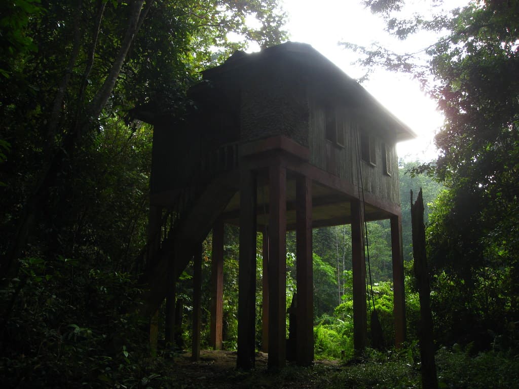 Bumbun Kumbang Hide