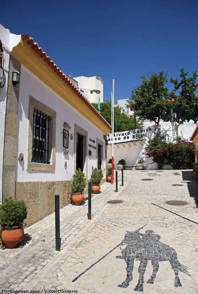 Casa-Museu Mário Coelho