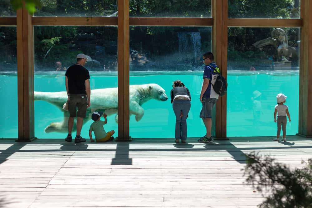 Zoo de la Flèche
