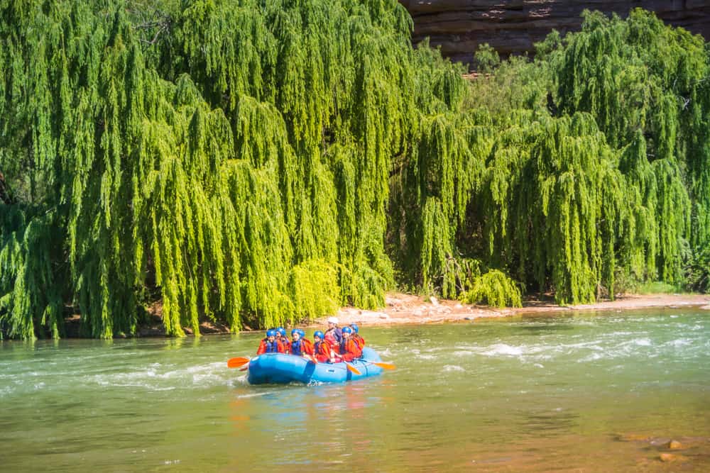 Rafting Along the Río Atuel