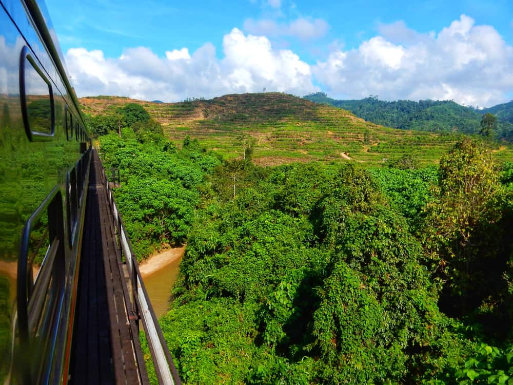 Jungle Railway