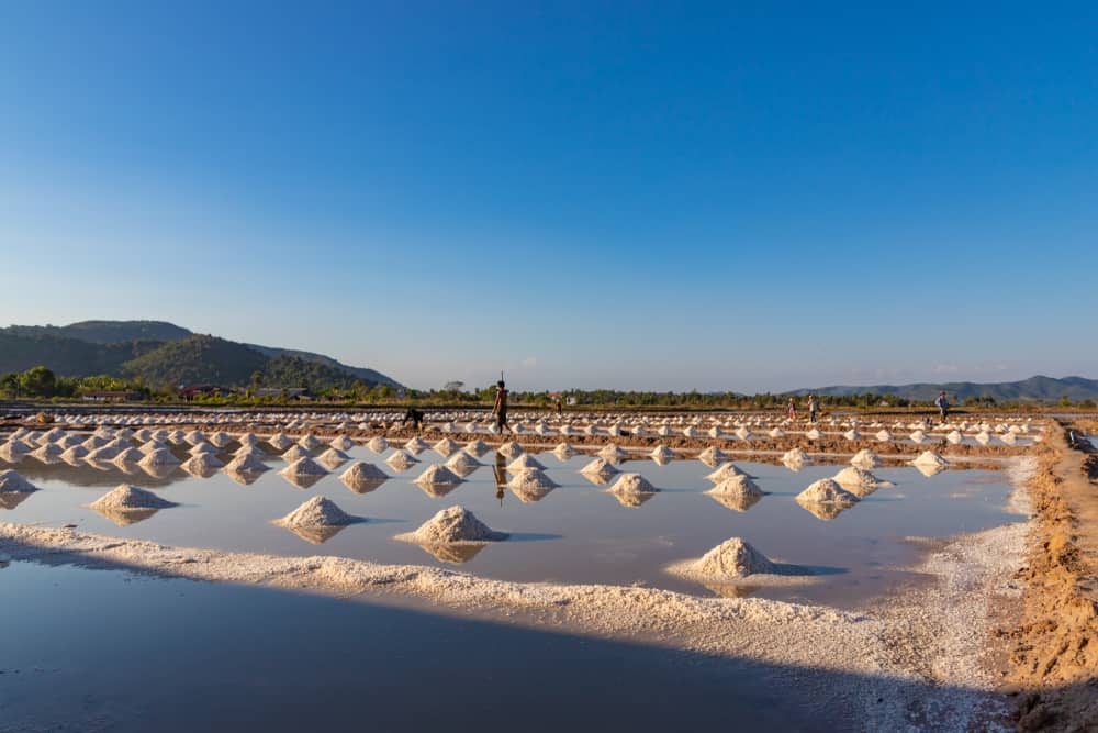 Kampot Salt Fields