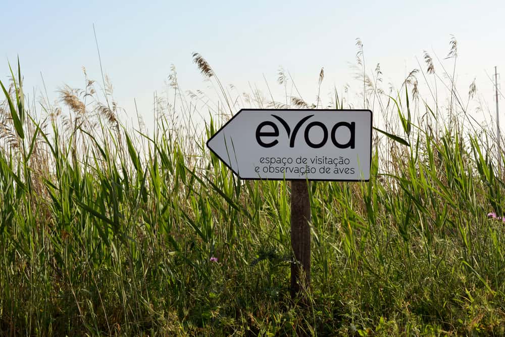 EVOA - Espaço de Visitação e Observação de Aves