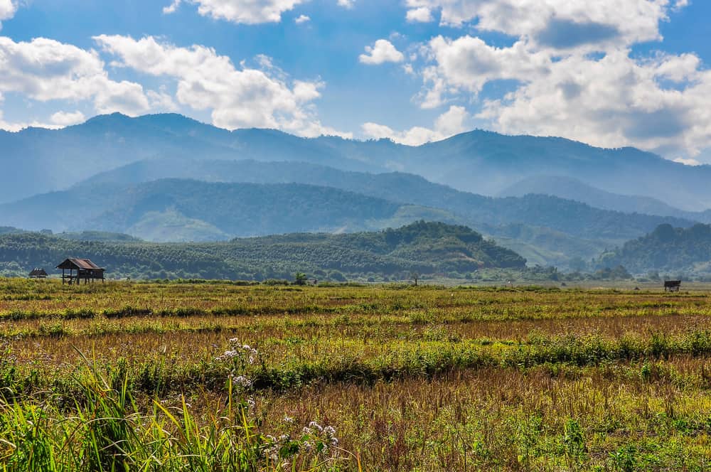 Countryside near Muang Sing