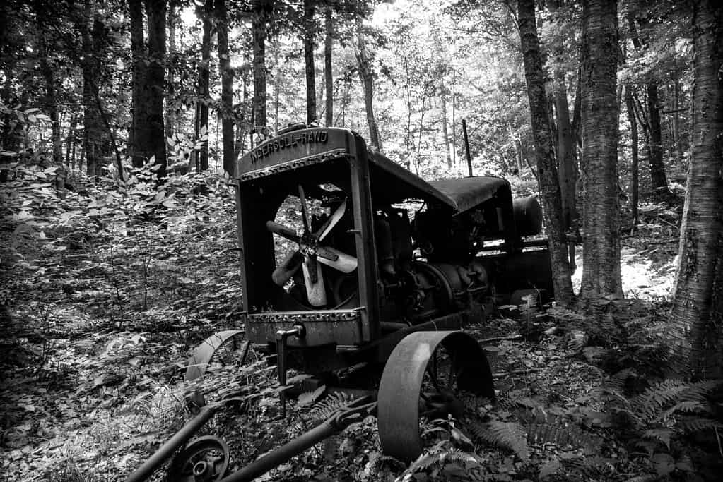 Becket Land Trust Historic Quarry and Forest, Becket