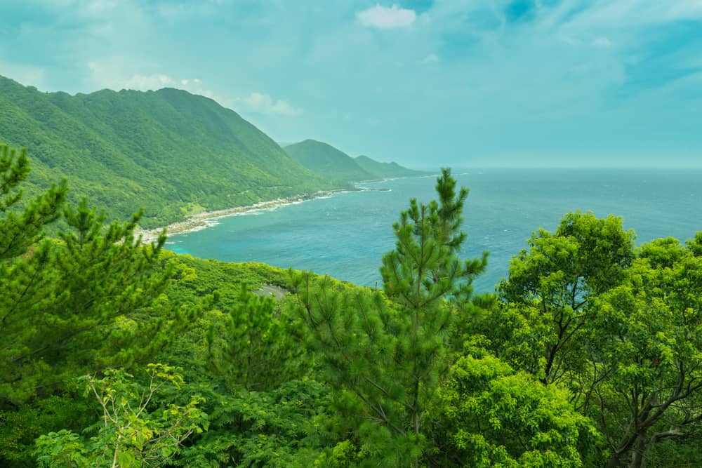 View of the coastal road on Yakushima island