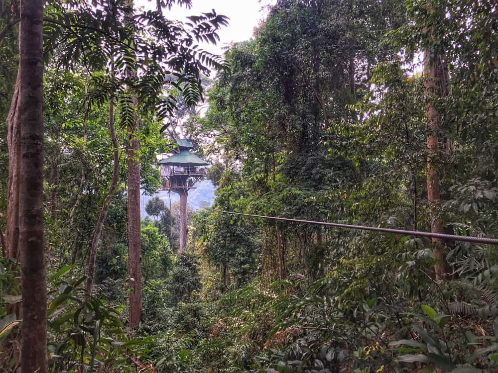 Gibbon Experience, Huay Xai