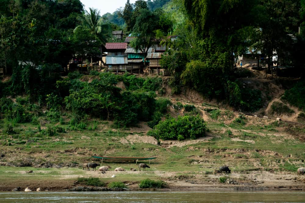 Village near Pak Beng