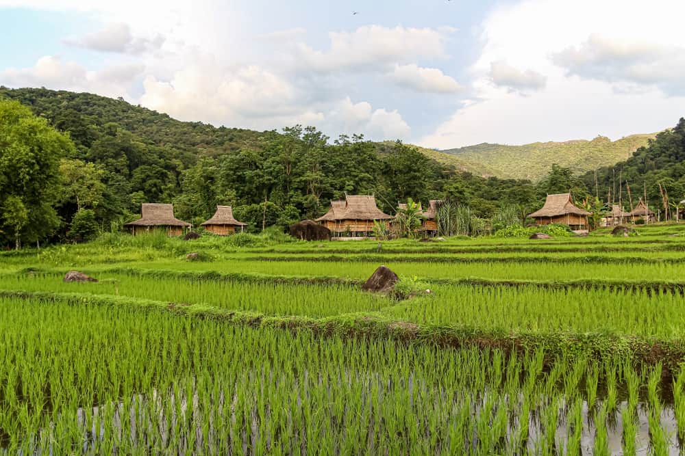 Ban Chom Ong