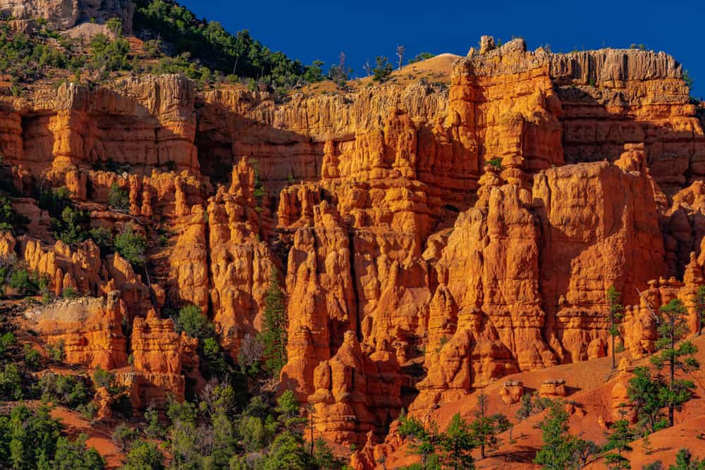 The Cassidy Trail, Panguitch