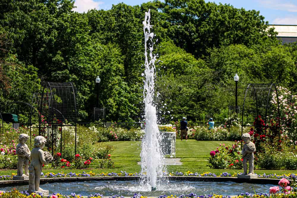 Kelleher Rose Garden, Boston