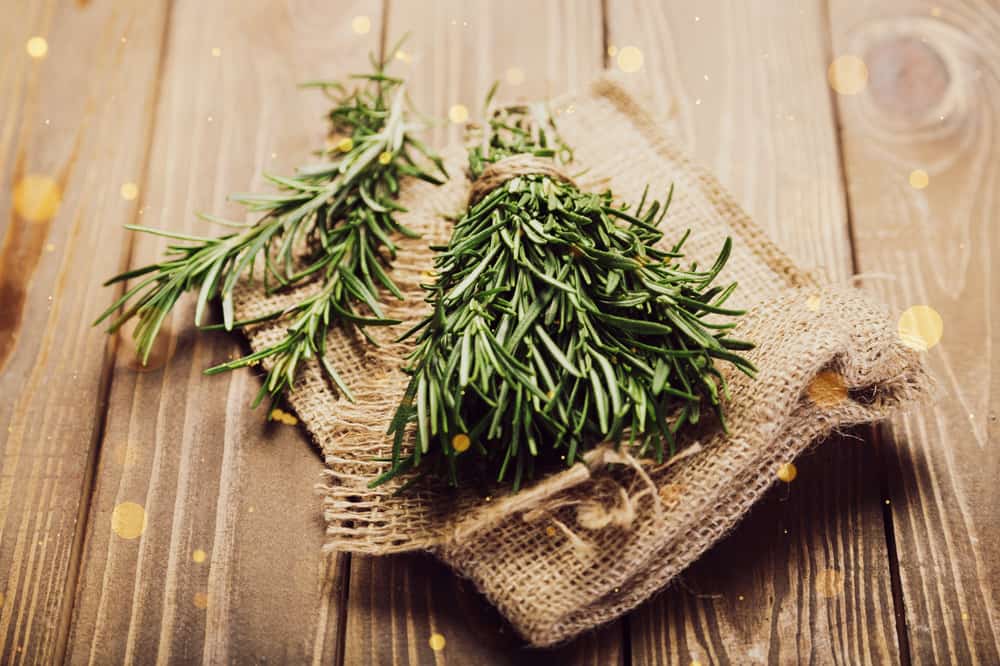 Herbal Sauna
