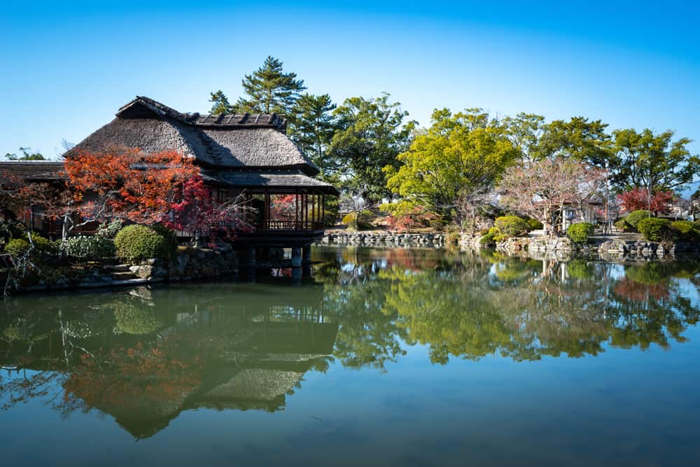 Kono Park