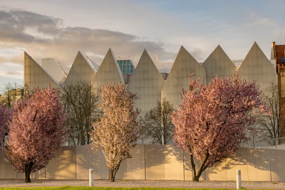 Dialogue Center, Szczecin
