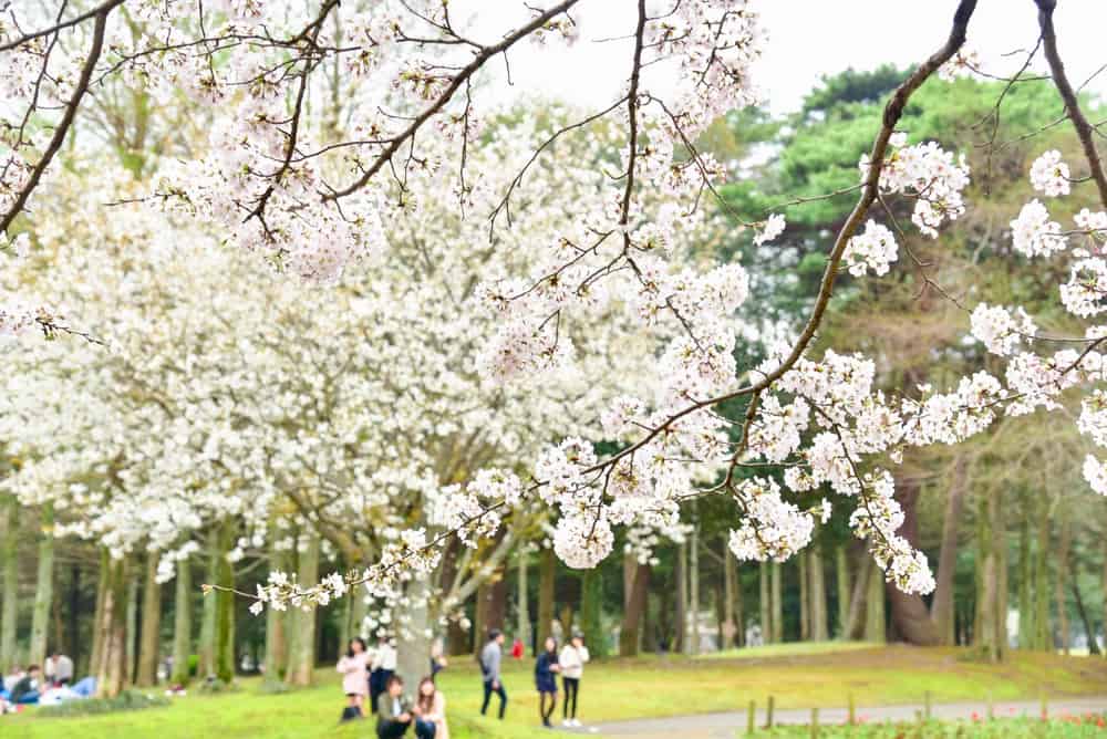 Beppu Park