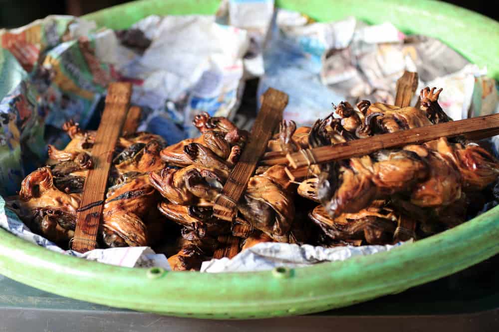 Barbecued Frog
