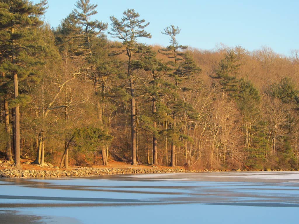 Wallum Lake