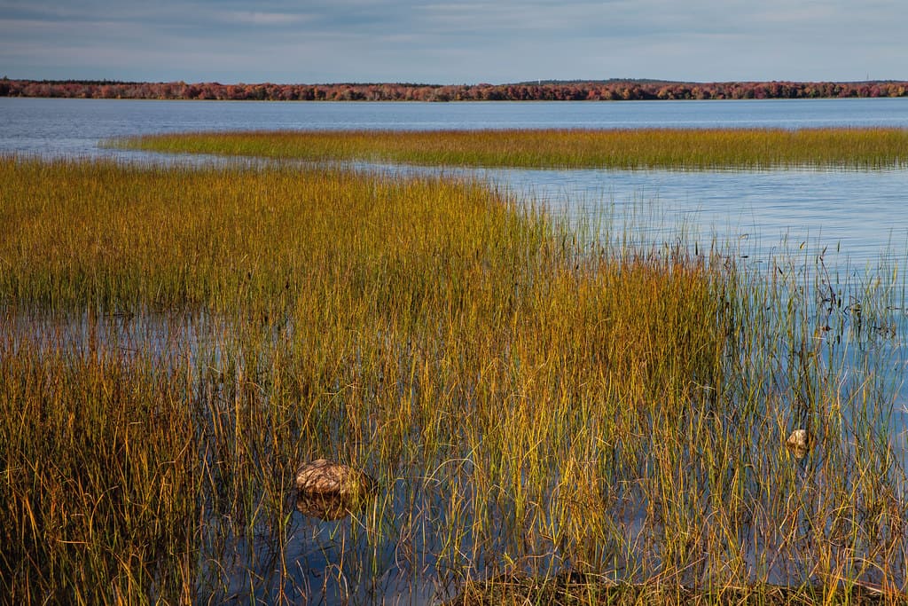 Worden Pond
