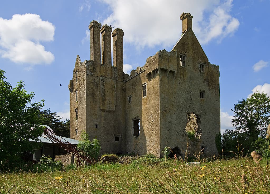 Ballycowan Castle