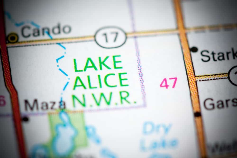 Lake Alice