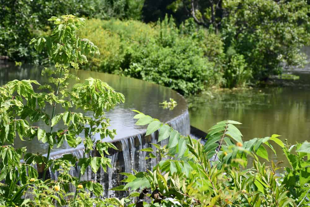 Powell gardens