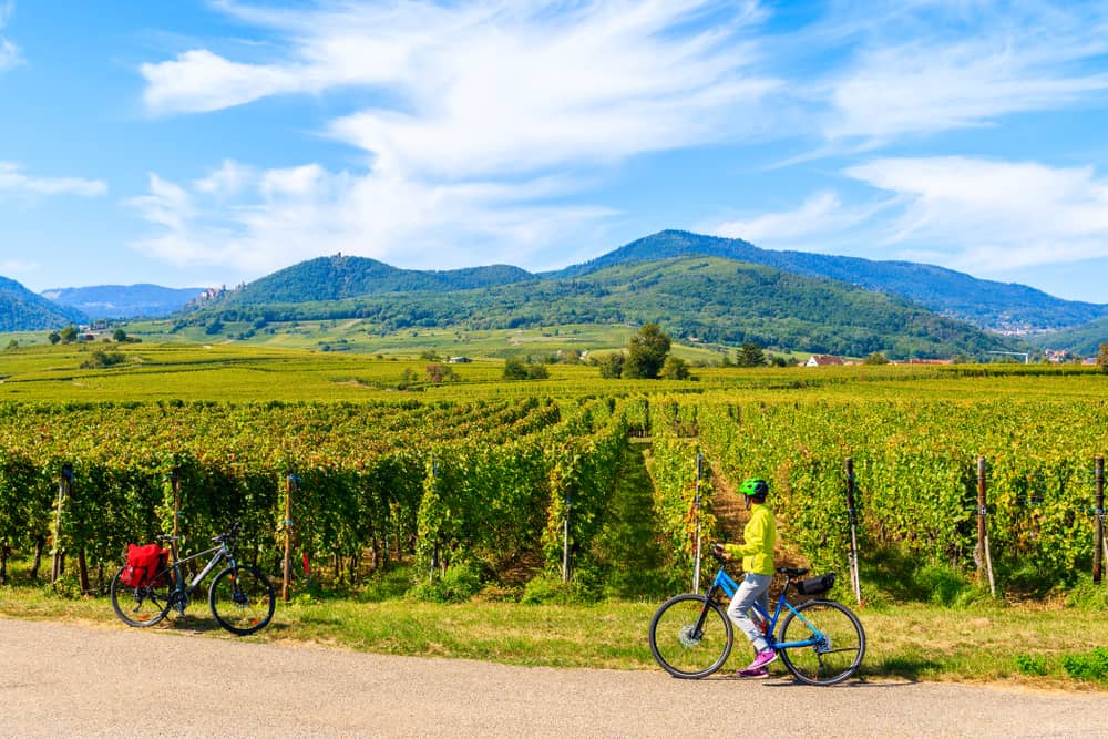 Adventure in the Vosges 