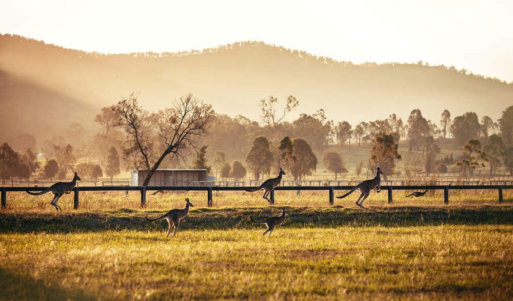Hunter Valley