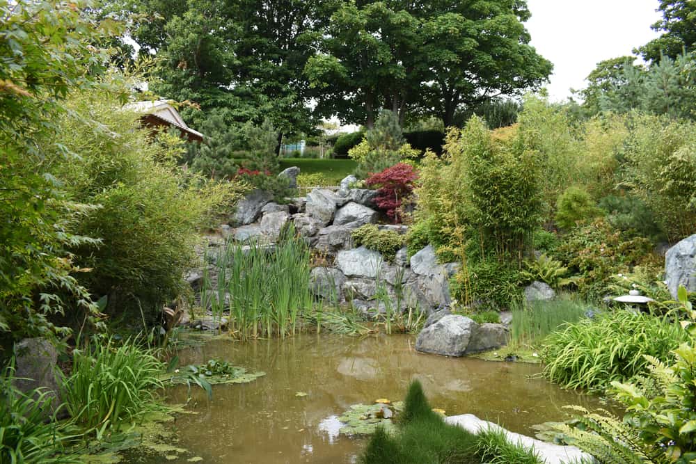 Lafcadio Hearn Japanese Gardens