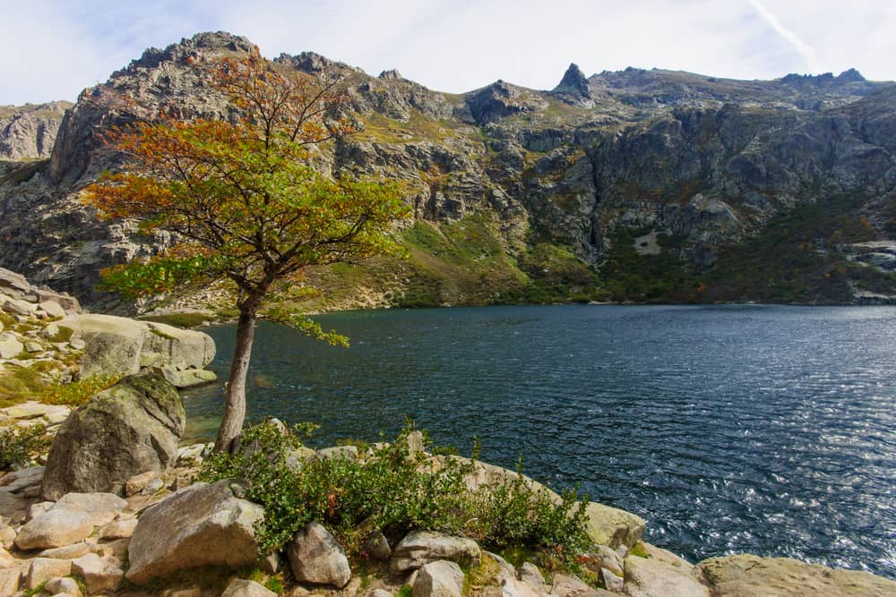 Gorges de la Restonica, Corte