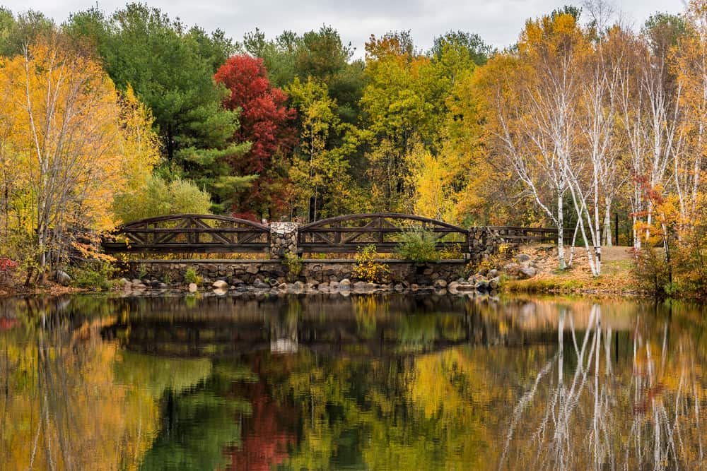 Olney Pond, Lincoln Woods State Park