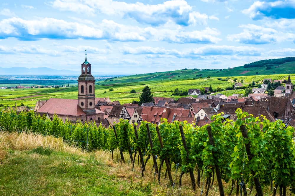 Alsatian Vineyard Route