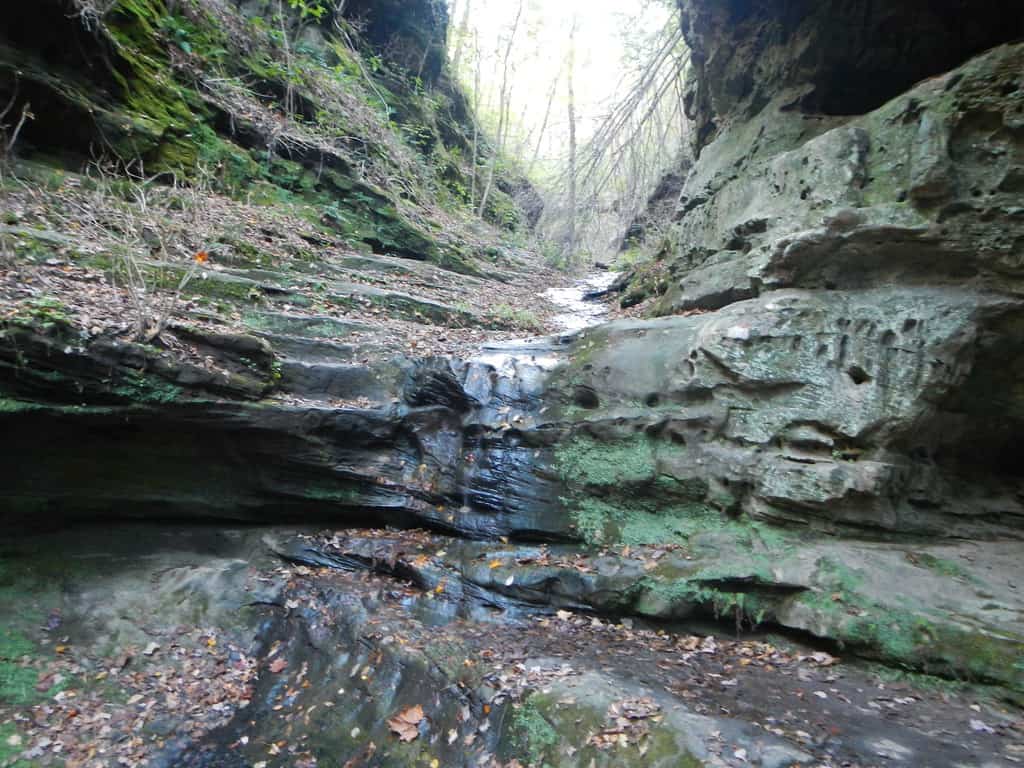 Little Grand Canyon, Pomona