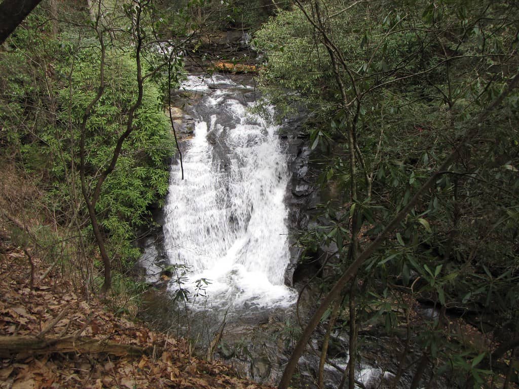 Sea Creek Falls