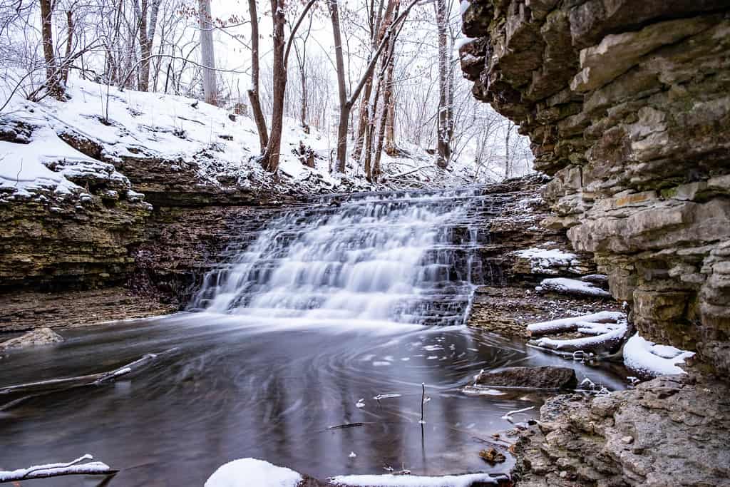 Jon J. Duerr Forest Preserve, South Elgin