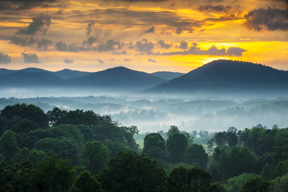 Pisgah National Forest