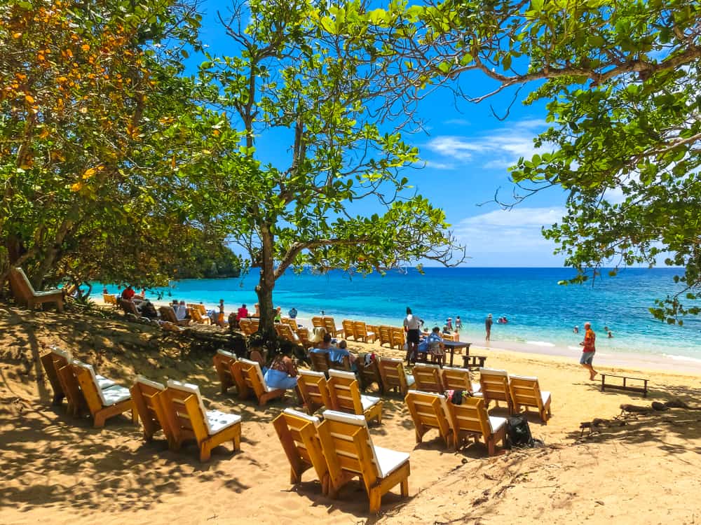 Bamboo Beach