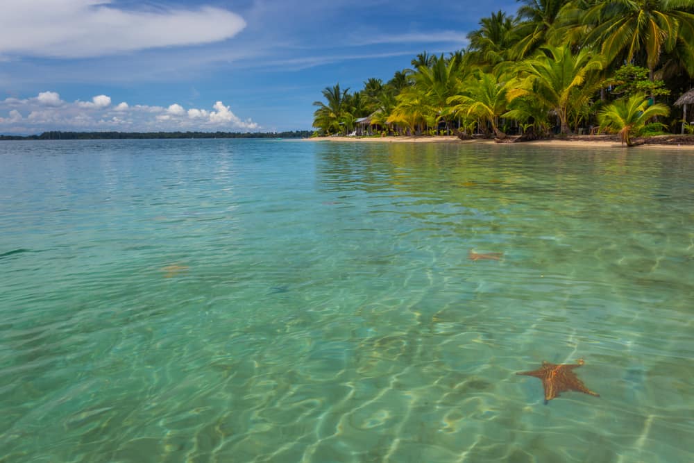 Playa Estrella, Isla Colon