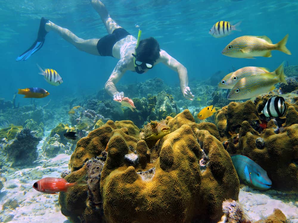 Snorkeling
