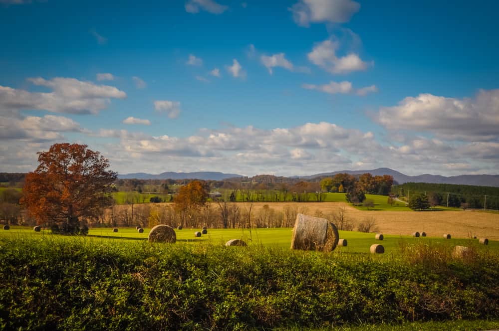 Fall Colors in Bedford County