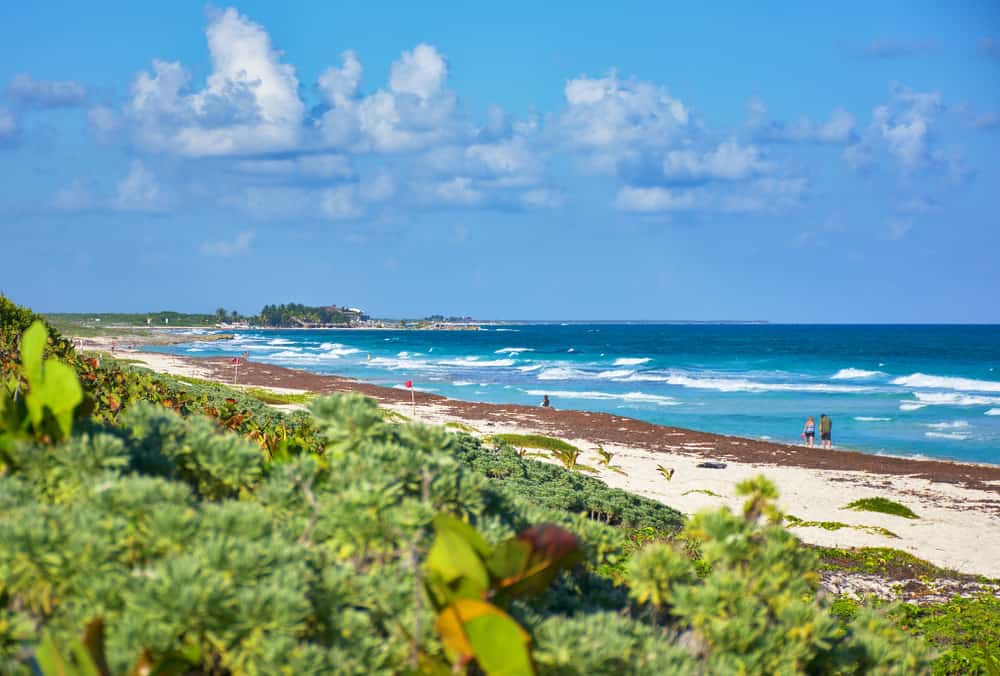 Punta Morena