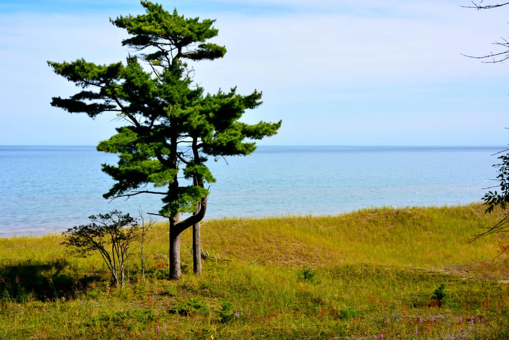 Kohler-Andrae State Park, Sheboygan