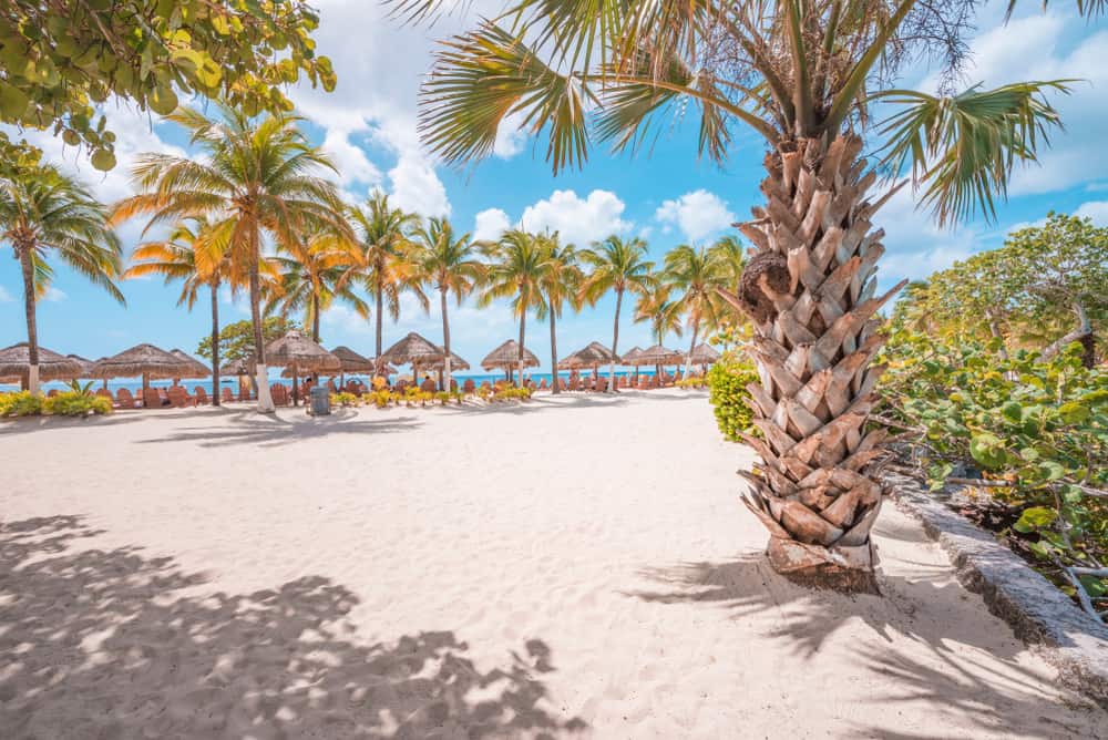 Paradise Beach