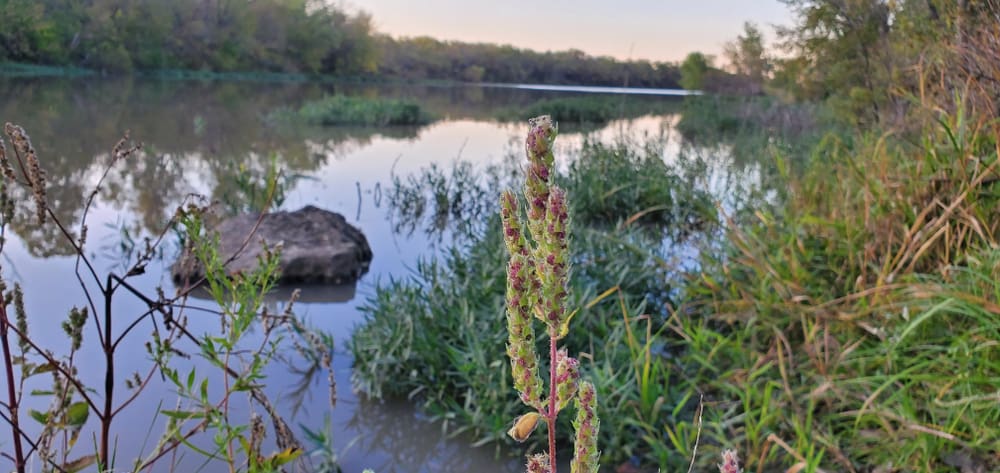 Santa Fe Lake near Andover, Kansas