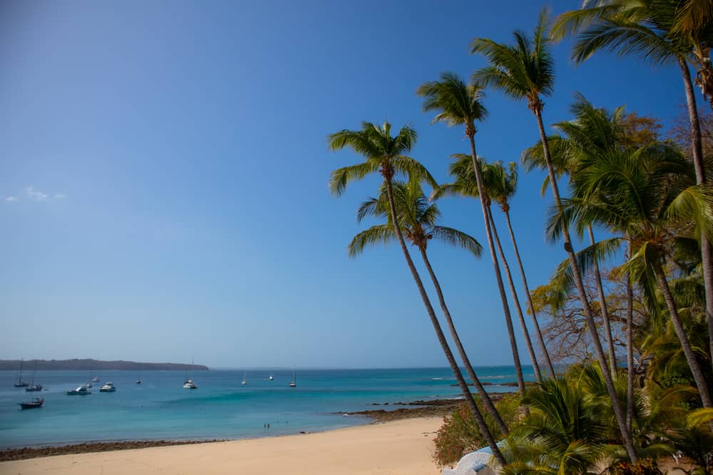 Isla Contadora, Pearl Islands