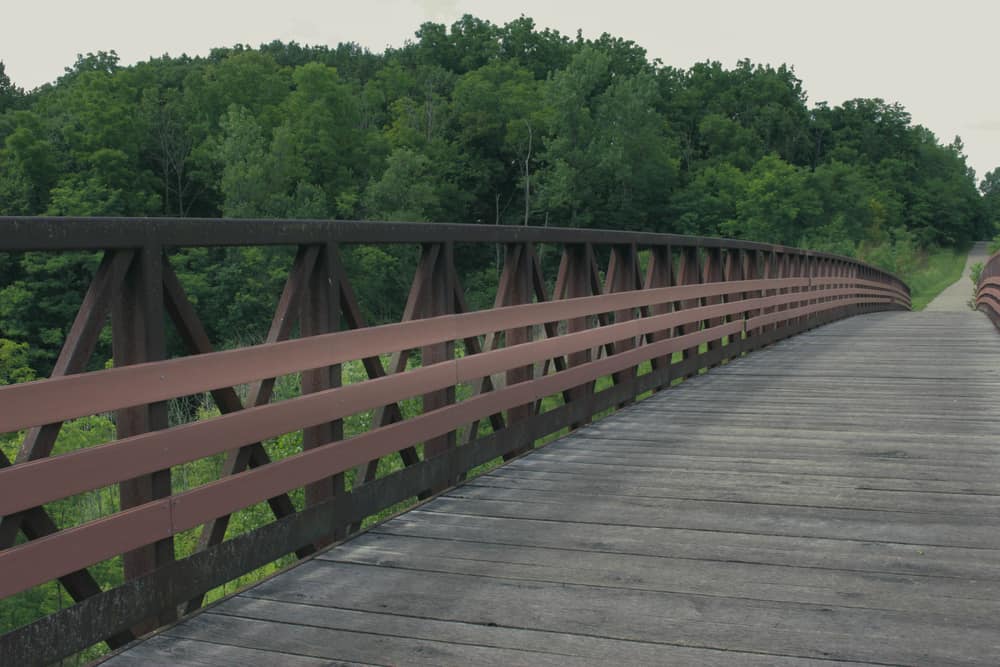 Raceway Woods Forest Preserve