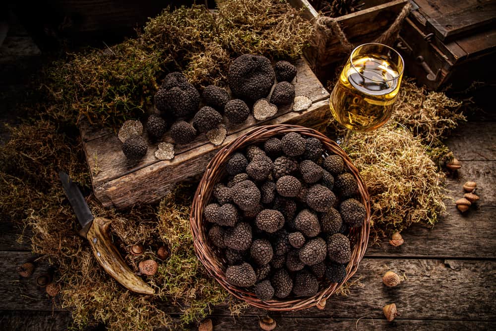 black truffle