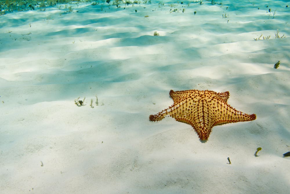 Playa Azul